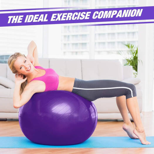 Yoga Ball Anti-Burst 65cm Exercise Ball with Air Pump-4