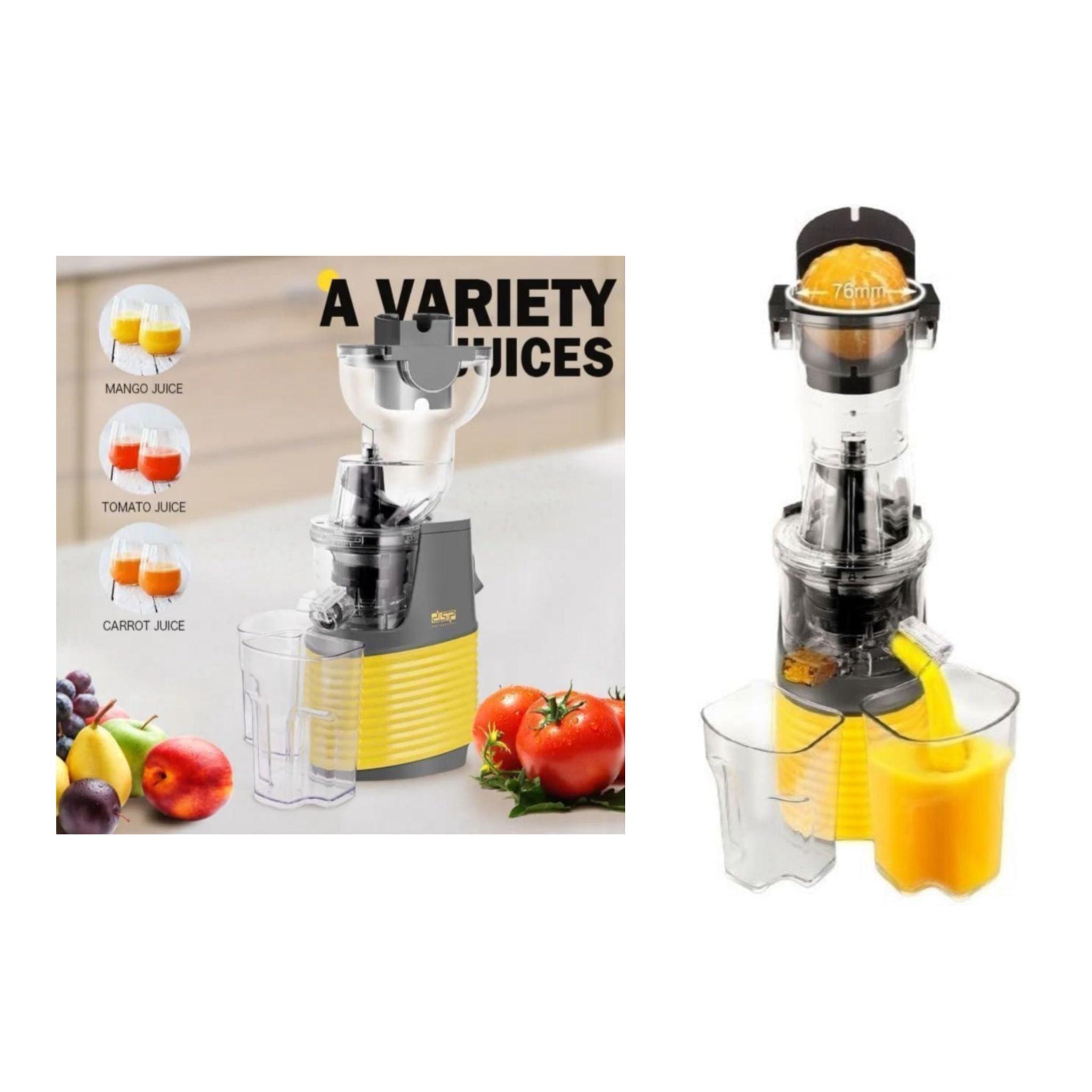 DSP Professional Juicer 250W