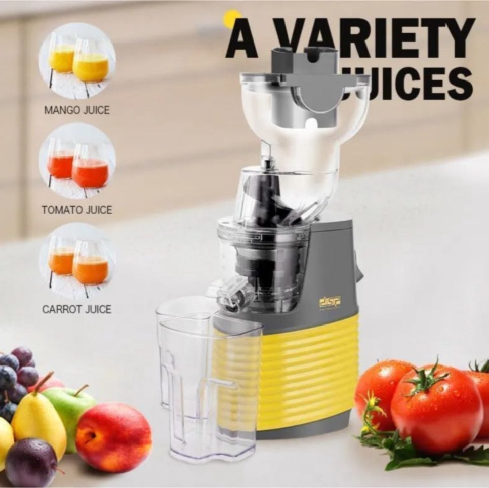 DSP Professional Juicer 250W