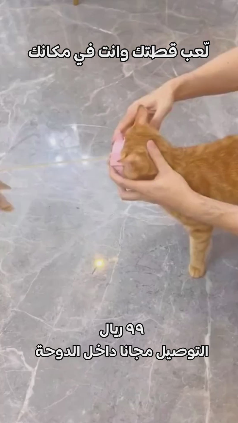cat collar toy-5