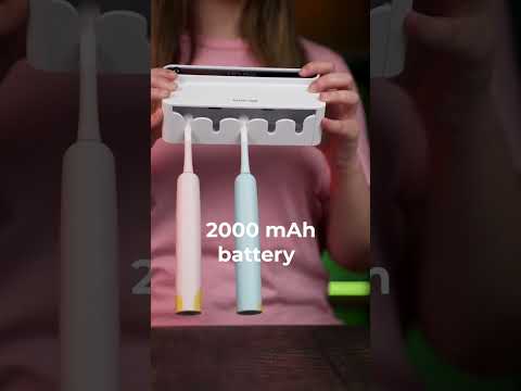 Green Lion Toothbrush Sterilizer - 2-Year Warranty-2